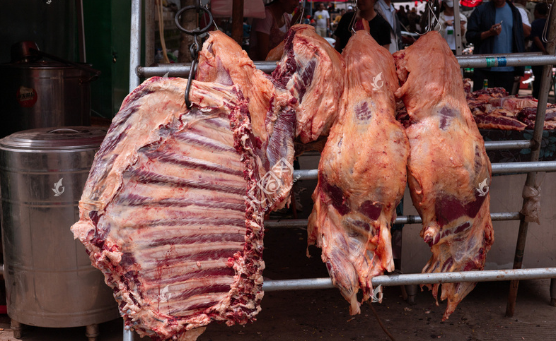 屠宰场污水处理系统的建设流程是怎样的？